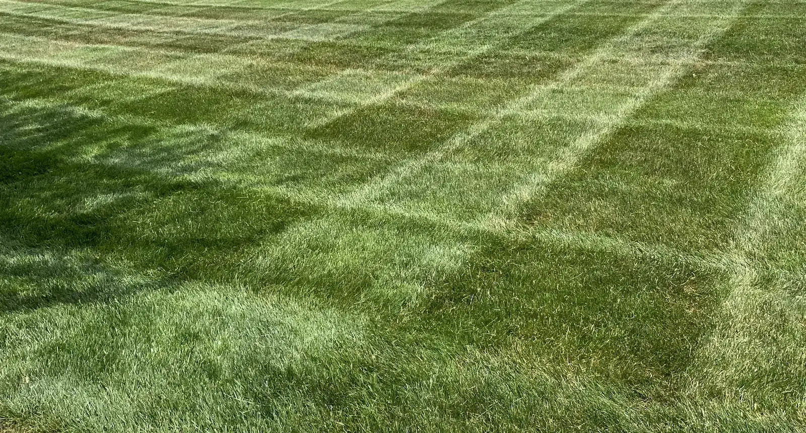 Close view of a lawn mowed in a diamond checkerboard, the light and dark bands crossing